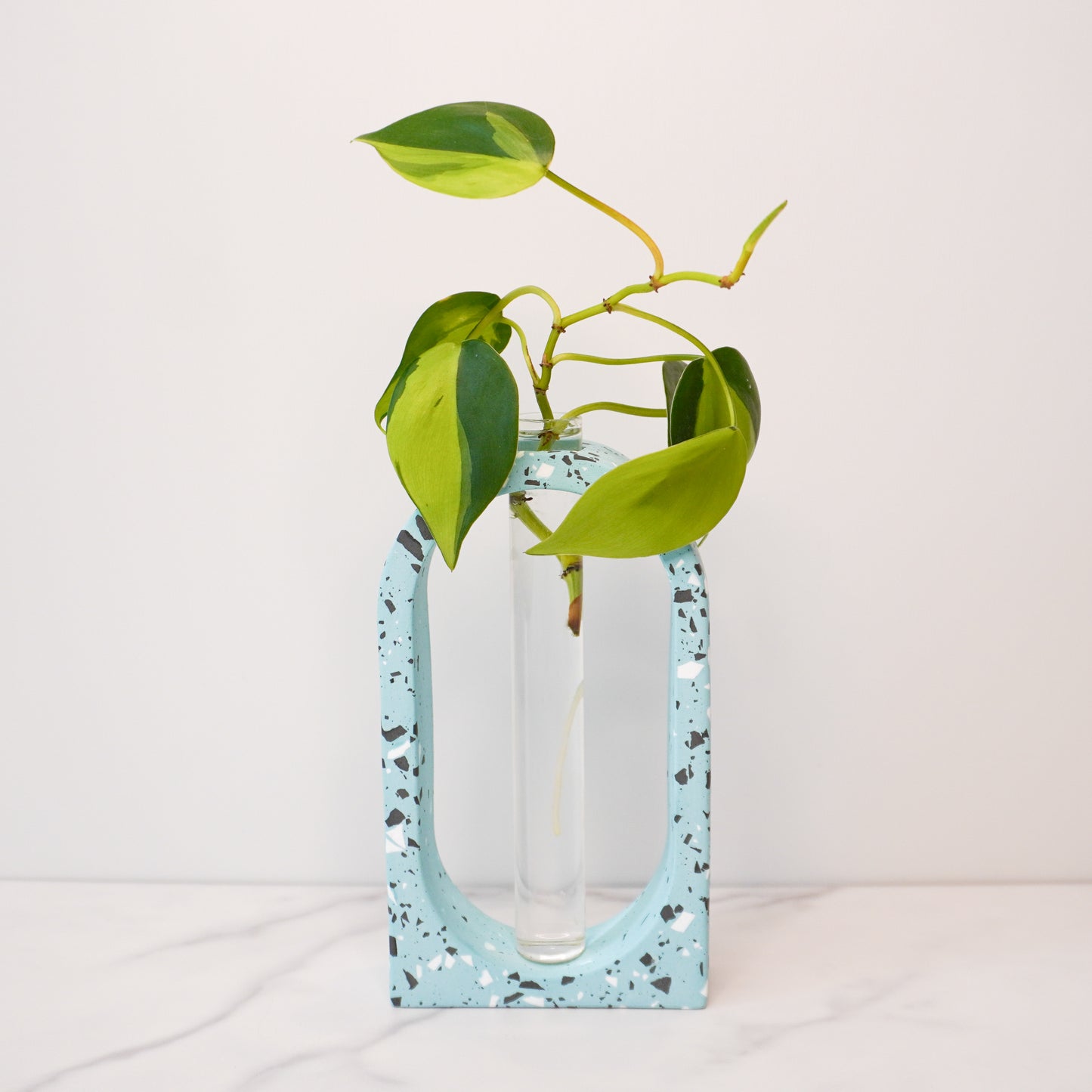 A stylish propagation vase featuring a speckled boho arch design in soft blue with black and white terrazzo-style flecks. The arch surrounds a clear glass tube holding a vibrant green plant cutting with heart-shaped leaves and visible roots. The vase is displayed on a white marble surface against a neutral white background, highlighting its modern and artistic aesthetic.