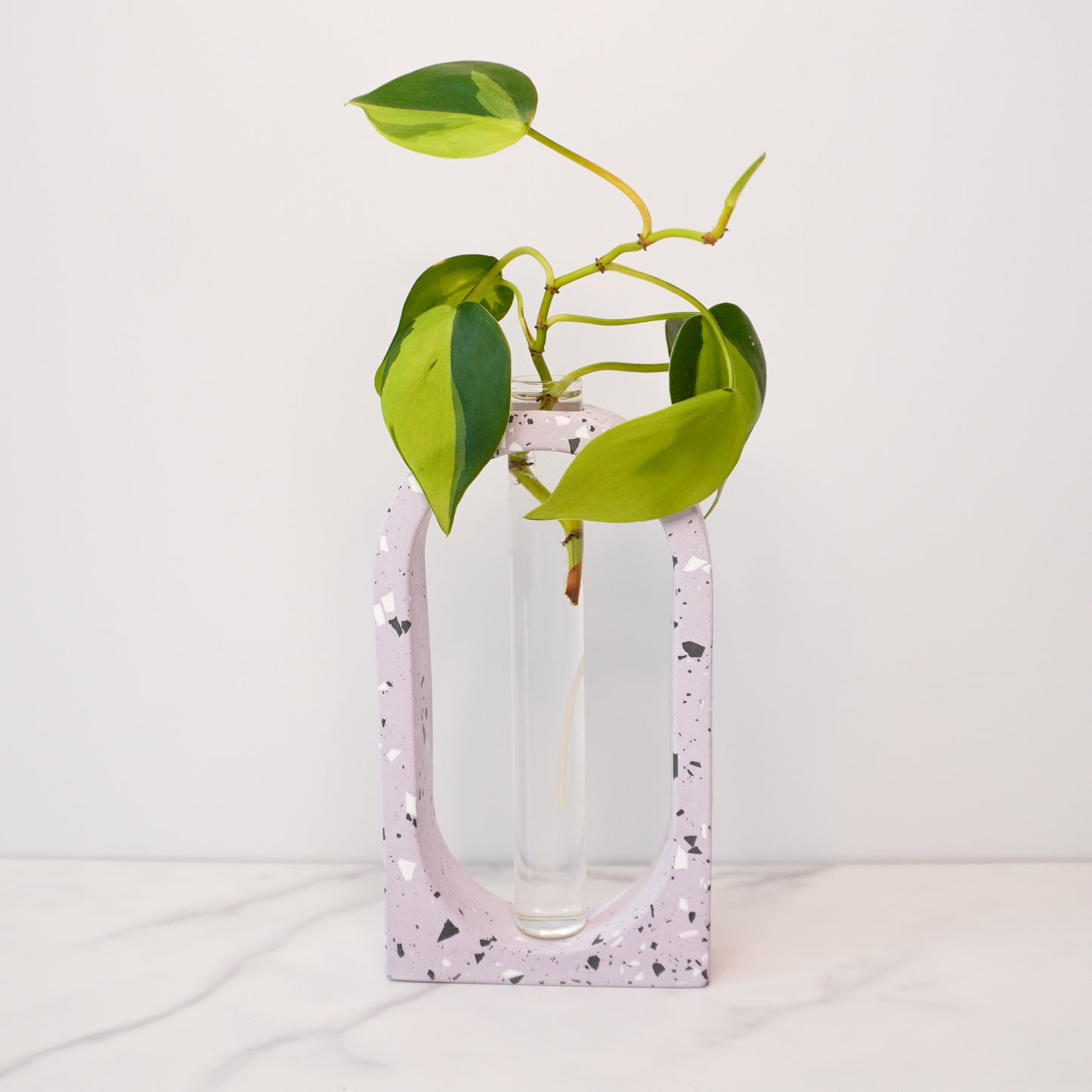 A stylish propagation vase featuring a speckled boho arch design in soft purple with black and white terrazzo-style flecks. The arch surrounds a clear glass tube holding a vibrant green plant cutting with heart-shaped leaves and visible roots. The vase is displayed on a white marble surface against a neutral white background, highlighting its modern and artistic aesthetic.
