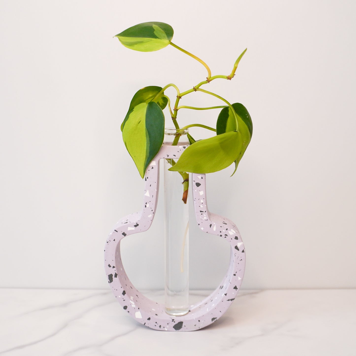 A speckled jar-shaped propagation vase with a modern terrazzo-style design in light lavendar, featuring black, white, and gray flecks. The jar-shaped frame surrounds a clear glass test tube vase in the center, holding a green plant cutting with heart-shaped leaves and visible roots. The vase is displayed on a white marble surface with a plain white background, showcasing its bold, artistic, and contemporary design.