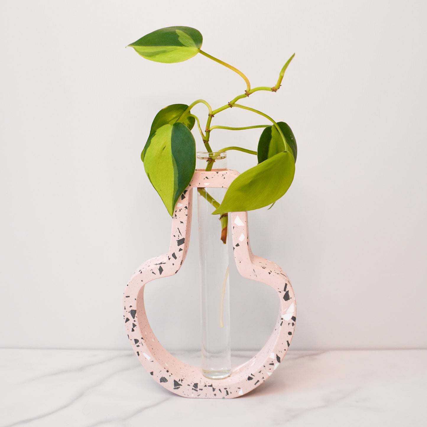 A speckled jar-shaped propagation vase with a modern terrazzo-style design in light pink, featuring black, white, and gray flecks. The jar-shaped frame surrounds a clear glass test tube vase in the center, holding a green plant cutting with heart-shaped leaves and visible roots. The vase is displayed on a white marble surface with a plain white background, showcasing its bold, artistic, and contemporary design.