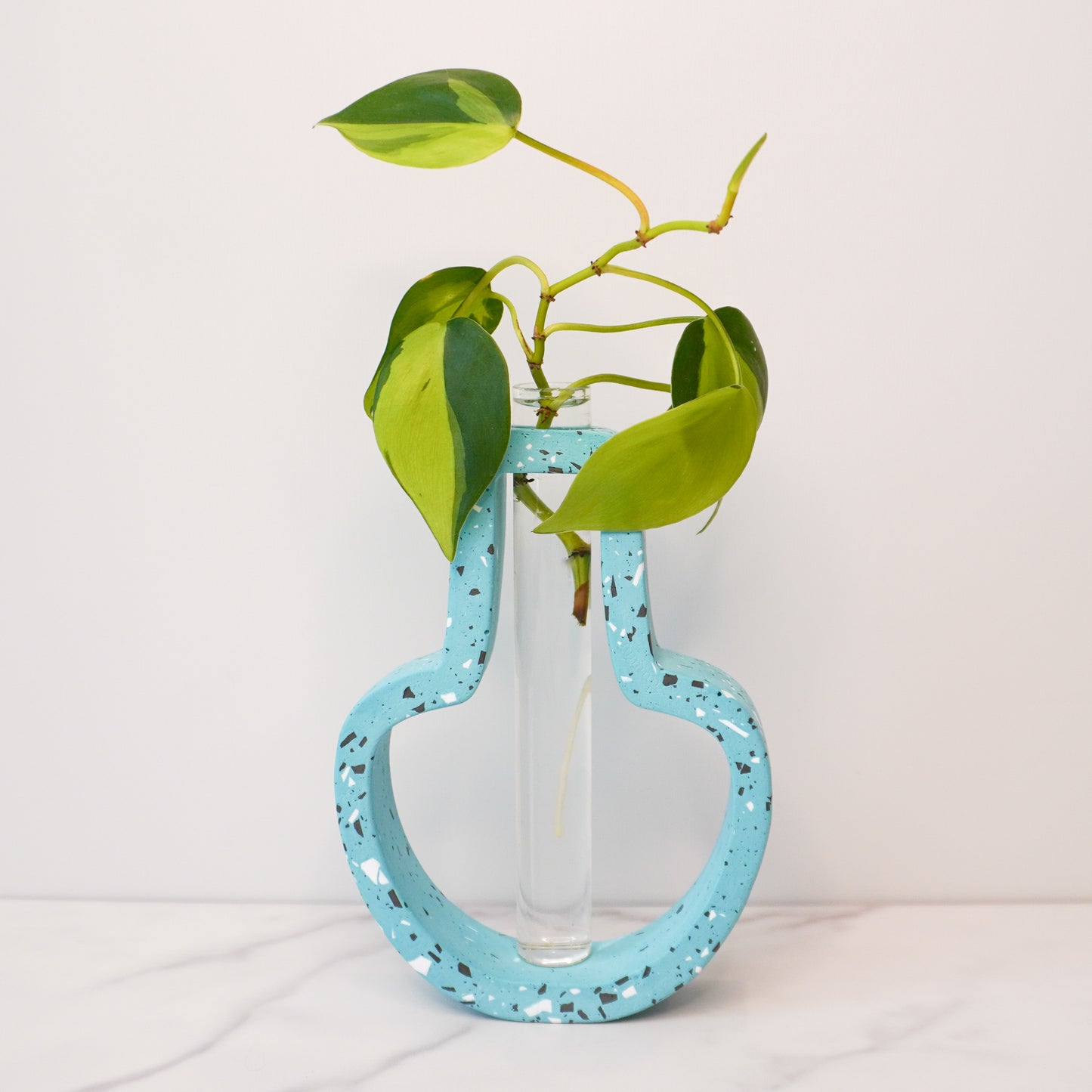 A speckled jar-shaped propagation vase with a modern terrazzo-style design in light blue, featuring black, white, and gray flecks. The jar-shaped frame surrounds a clear glass test tube vase in the center, holding a green plant cutting with heart-shaped leaves and visible roots. The vase is displayed on a white marble surface with a plain white background, showcasing its bold, artistic, and contemporary design.