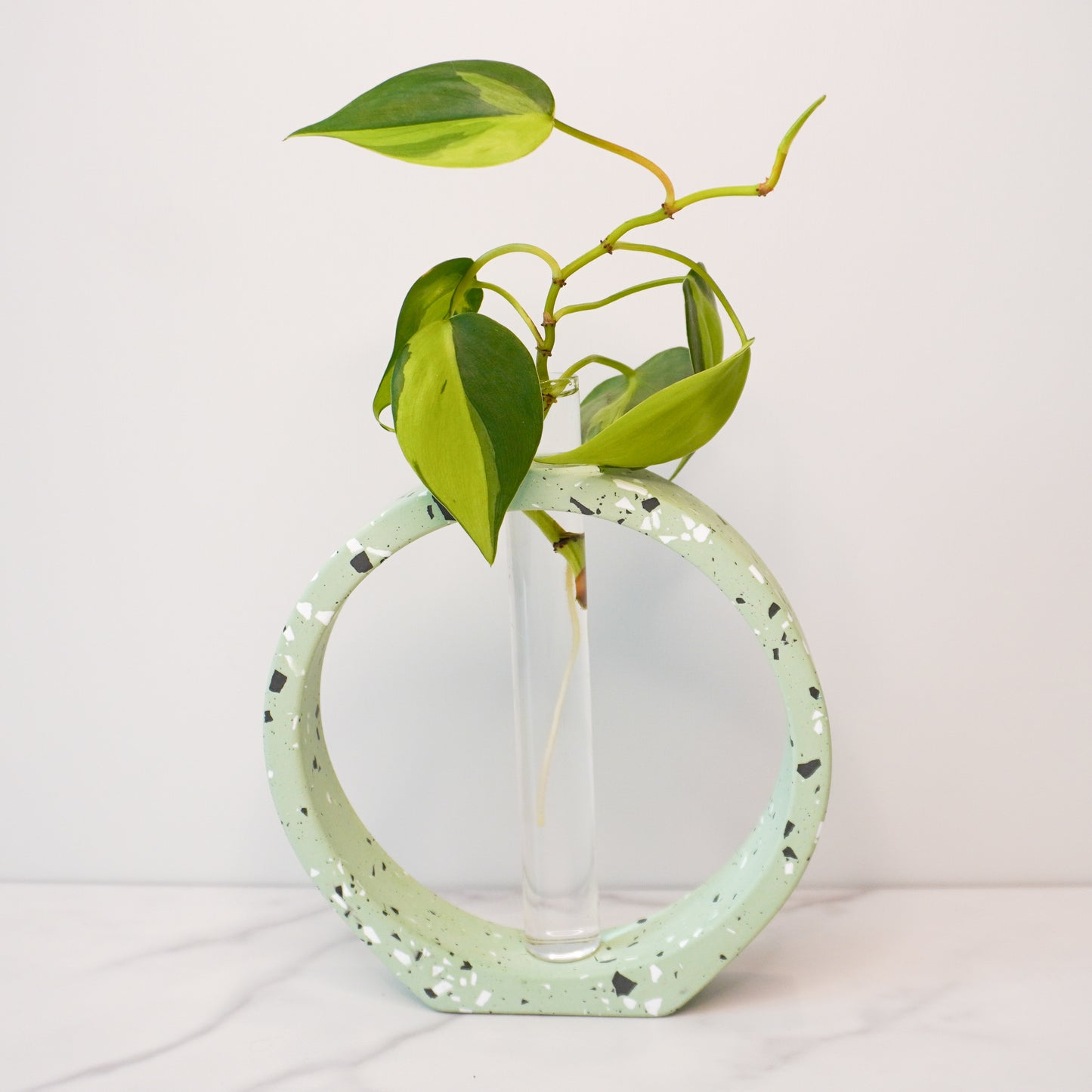 A modern propagation vase featuring a speckled circular design in light green with white, black, and gray terrazzo-style flecks. The circle frames a clear glass test tube in the center, holding a green plant cutting with heart-shaped leaves and visible roots. The vase is displayed on a white marble surface against a plain white background, highlighting its artistic and minimalist aesthetic.