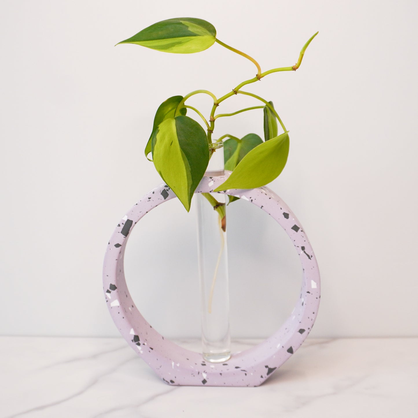 A modern propagation vase featuring a speckled circular design in light purple with white, black, and gray terrazzo-style flecks. The circle frames a clear glass test tube in the center, holding a green plant cutting with heart-shaped leaves and visible roots. The vase is displayed on a white marble surface against a plain white background, highlighting its artistic and minimalist aesthetic.