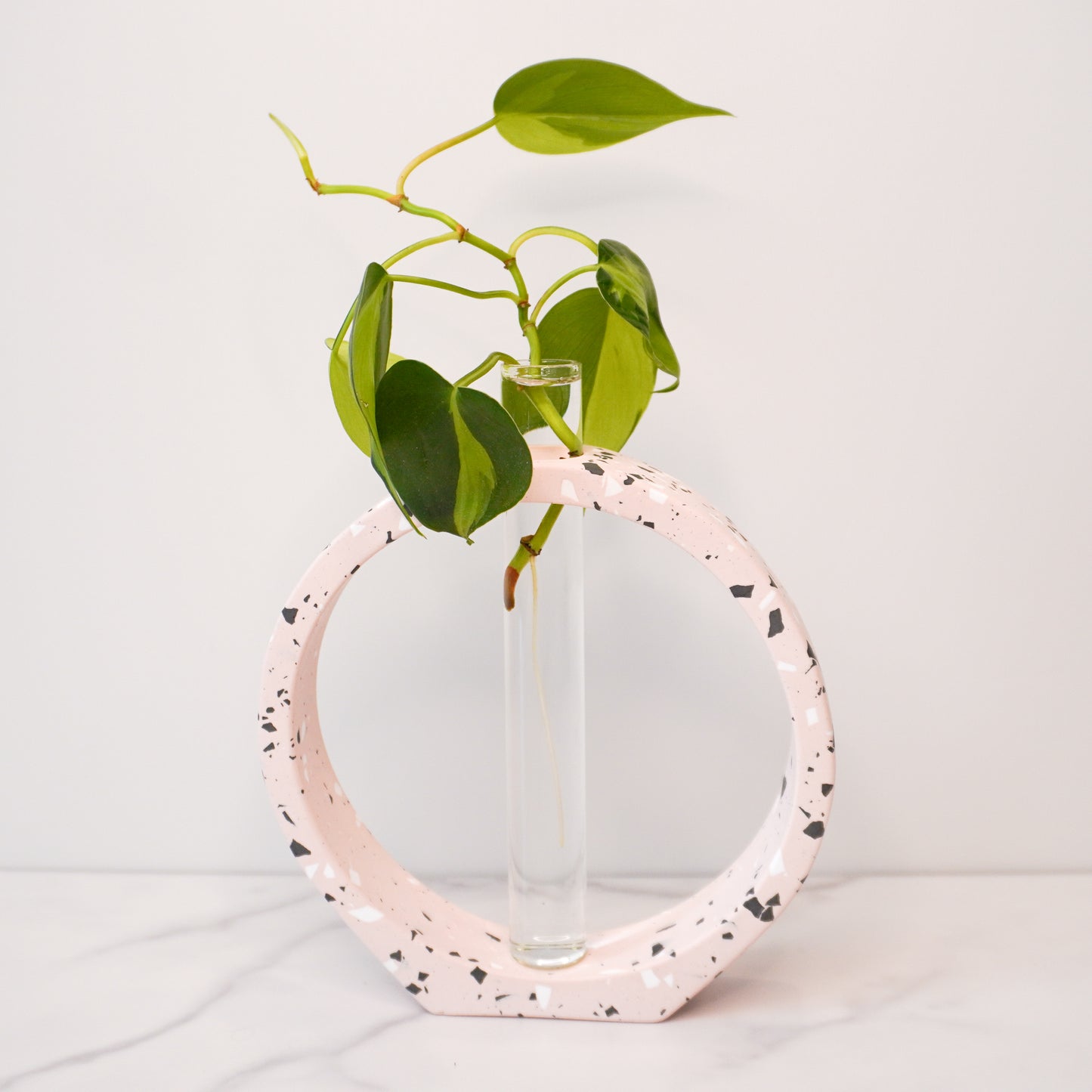 A modern propagation vase featuring a speckled circular design in light pink with white, black, and gray terrazzo-style flecks. The circle frames a clear glass test tube in the center, holding a green plant cutting with heart-shaped leaves and visible roots. The vase is displayed on a white marble surface against a plain white background, highlighting its artistic and minimalist aesthetic.