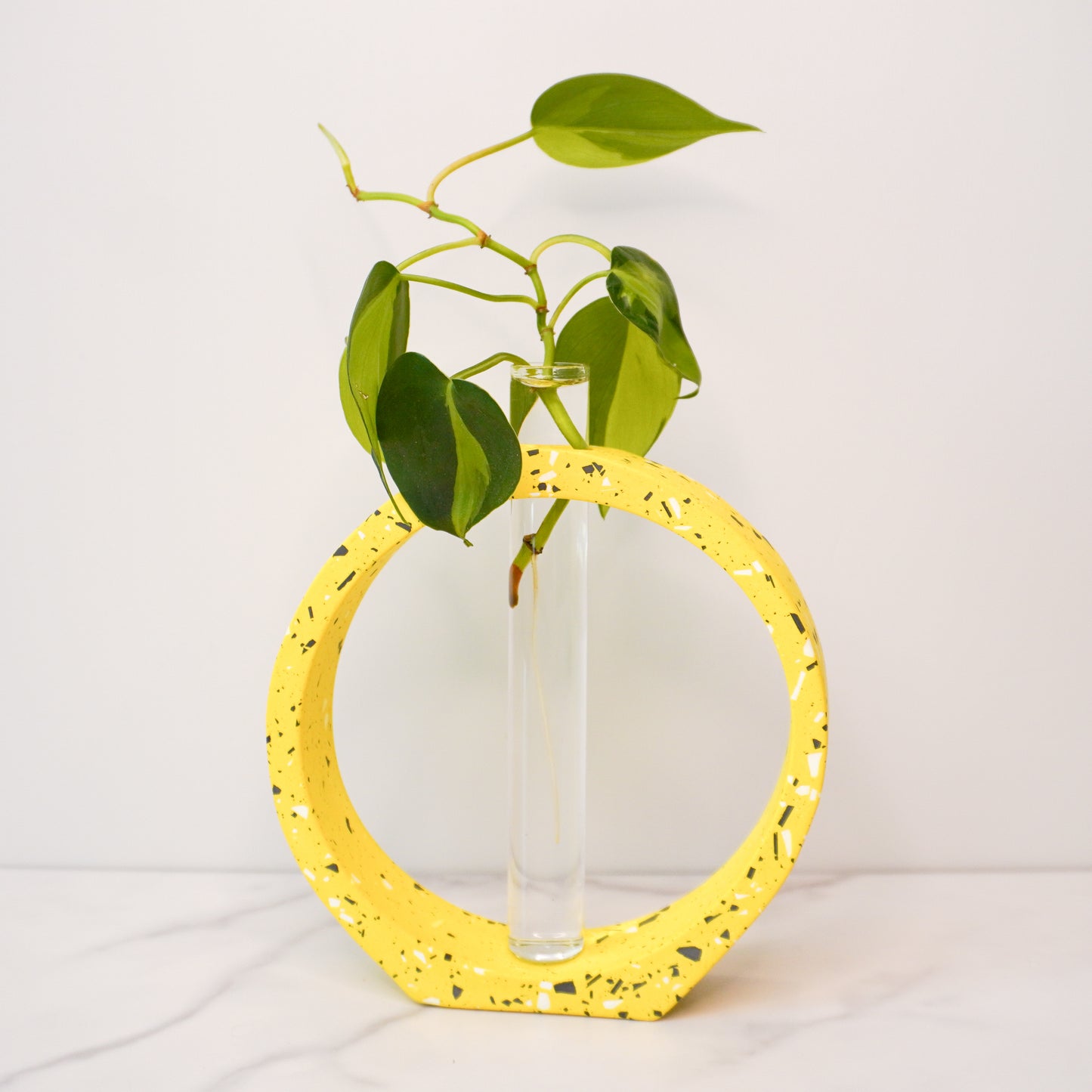 A modern propagation vase featuring a speckled circular design in bright yellow with white, black, and gray terrazzo-style flecks. The circle frames a clear glass test tube in the center, holding a green plant cutting with heart-shaped leaves and visible roots. The vase is displayed on a white marble surface against a plain white background, highlighting its artistic and minimalist aesthetic.