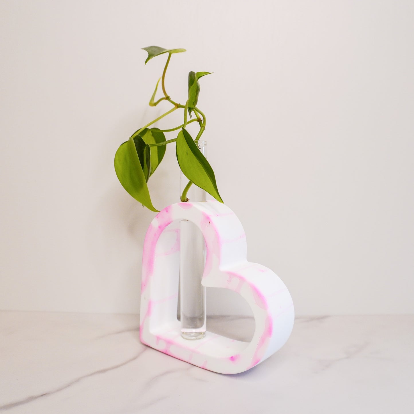 Heart Propagation Vase