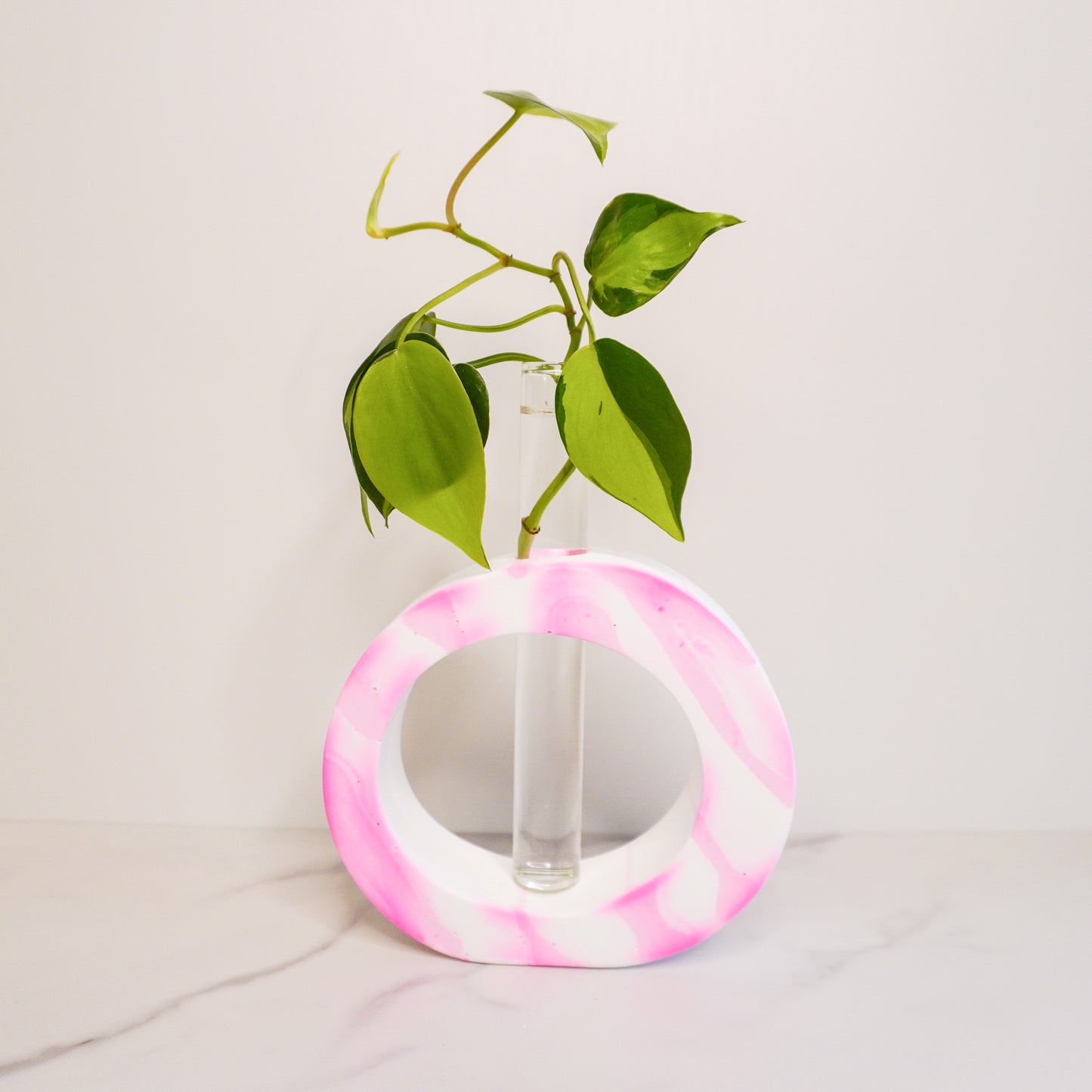 Asymmetrical Circle Propagation Vase