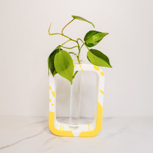 Rectangle Propagation Vase