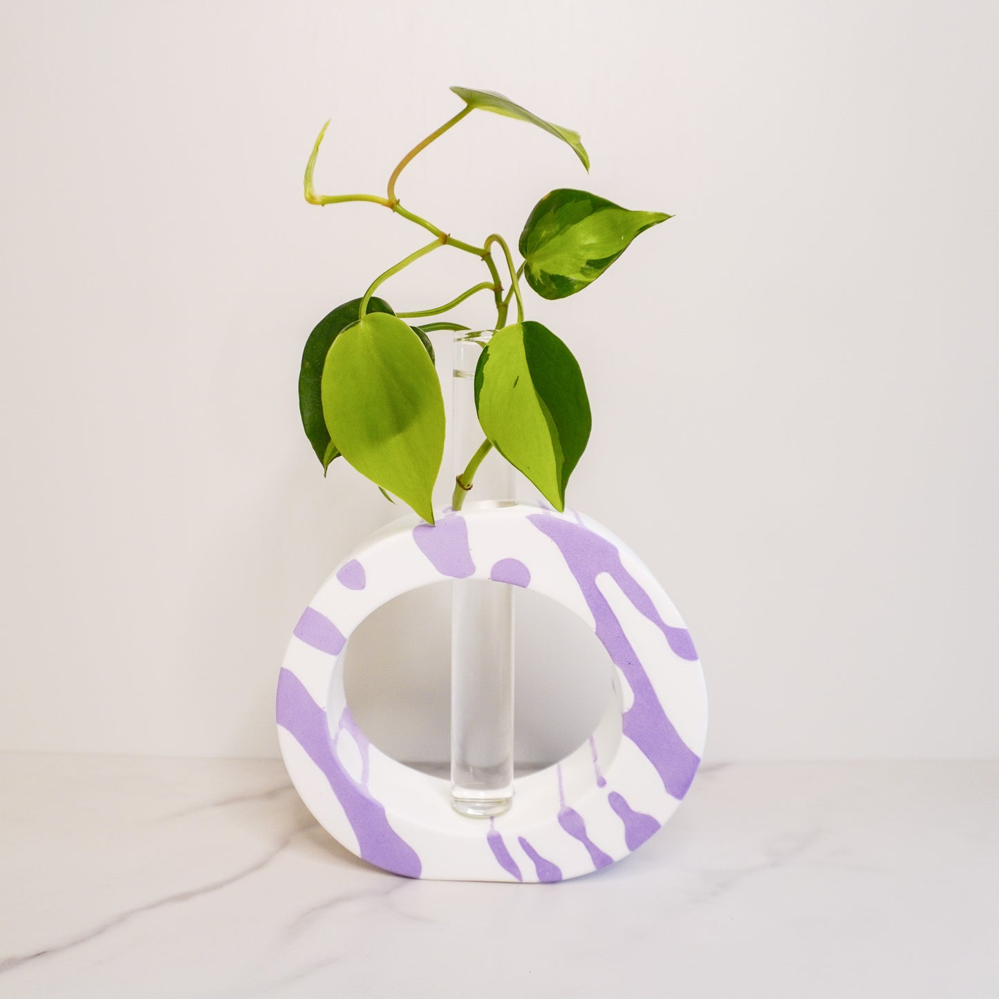 Asymmetrical Circle Propagation Vase