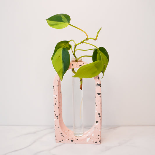 A stylish propagation vase featuring a speckled boho arch design in soft pink with black and white terrazzo-style flecks. The arch surrounds a clear glass tube holding a vibrant green plant cutting with heart-shaped leaves and visible roots. The vase is displayed on a white marble surface against a neutral white background, highlighting its modern and artistic aesthetic.