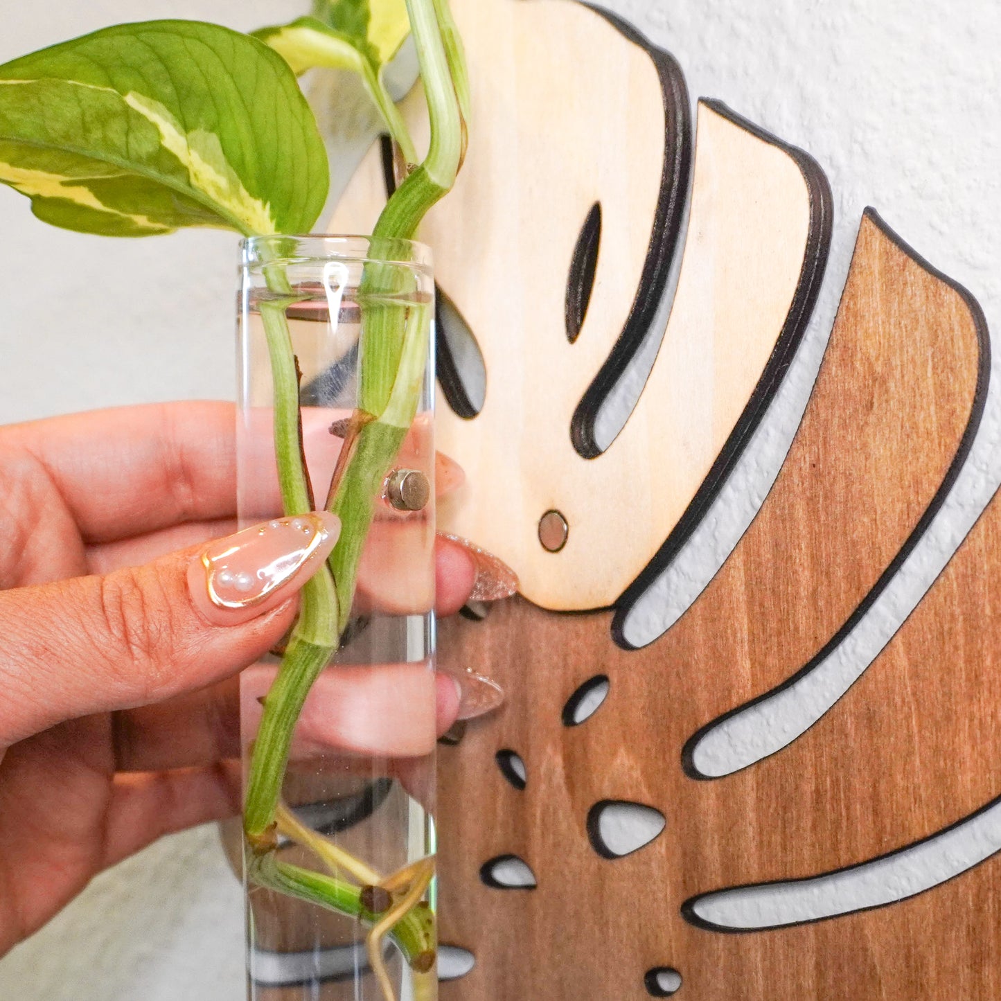 A close-up of a Monstera-inspired propagation tube holder featuring a wooden backplate with a nature-inspired cutout design. A hand with pearl-accented nails is holding a clear glass tube filled with water and green pothos cuttings. The backplate displays a mix of light and dark wood tones, mounted on a white textured wall.