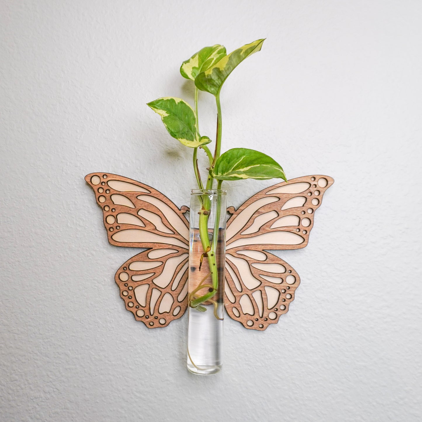 Butterfly Wall Propagation Tube