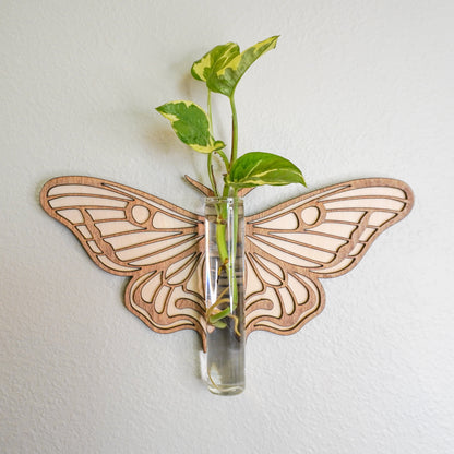 Moth Wall Propagation Tube