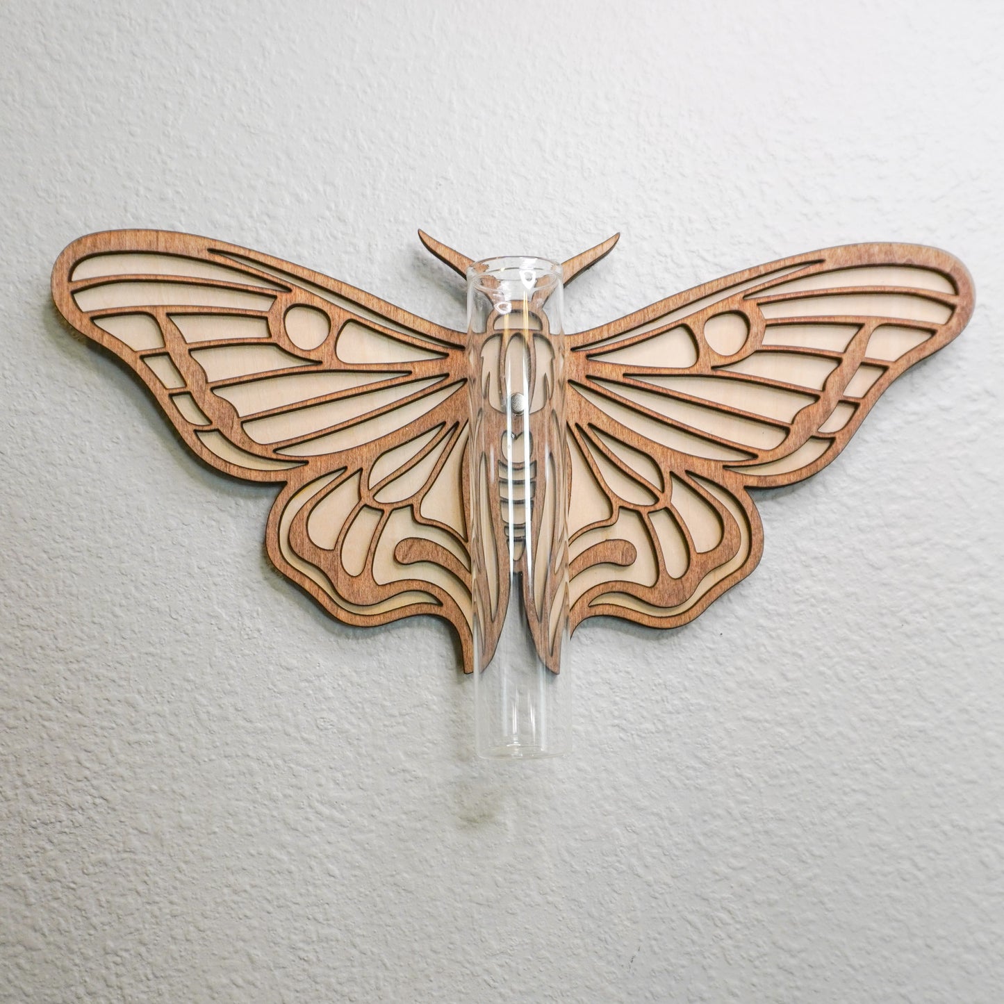 Moth Wall Propagation Tube