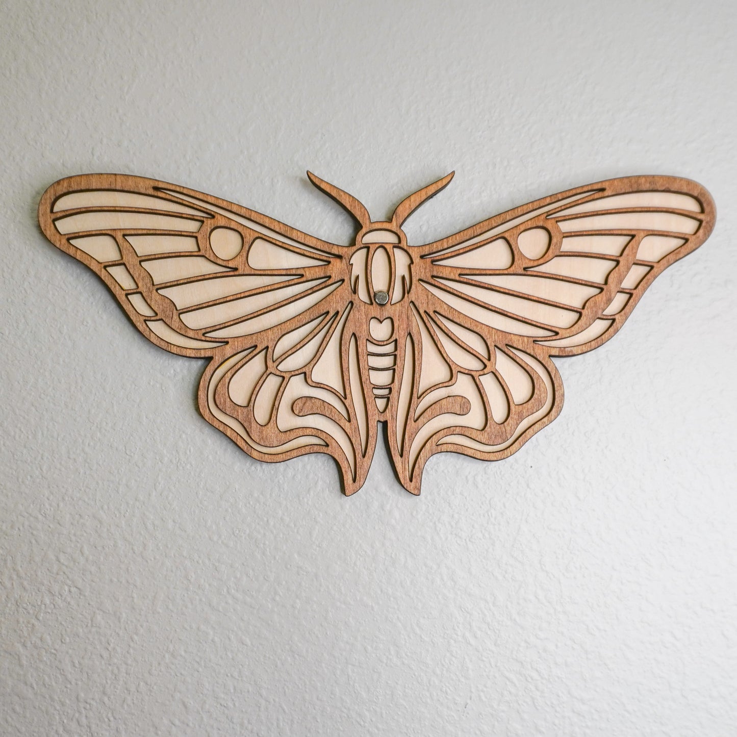 Moth Wall Propagation Tube