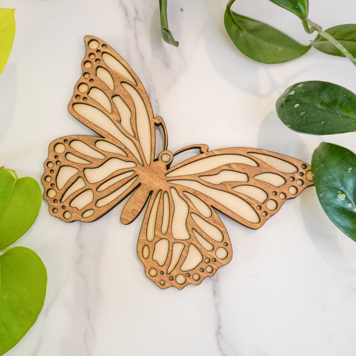 Butterfly Wall Propagation Tube