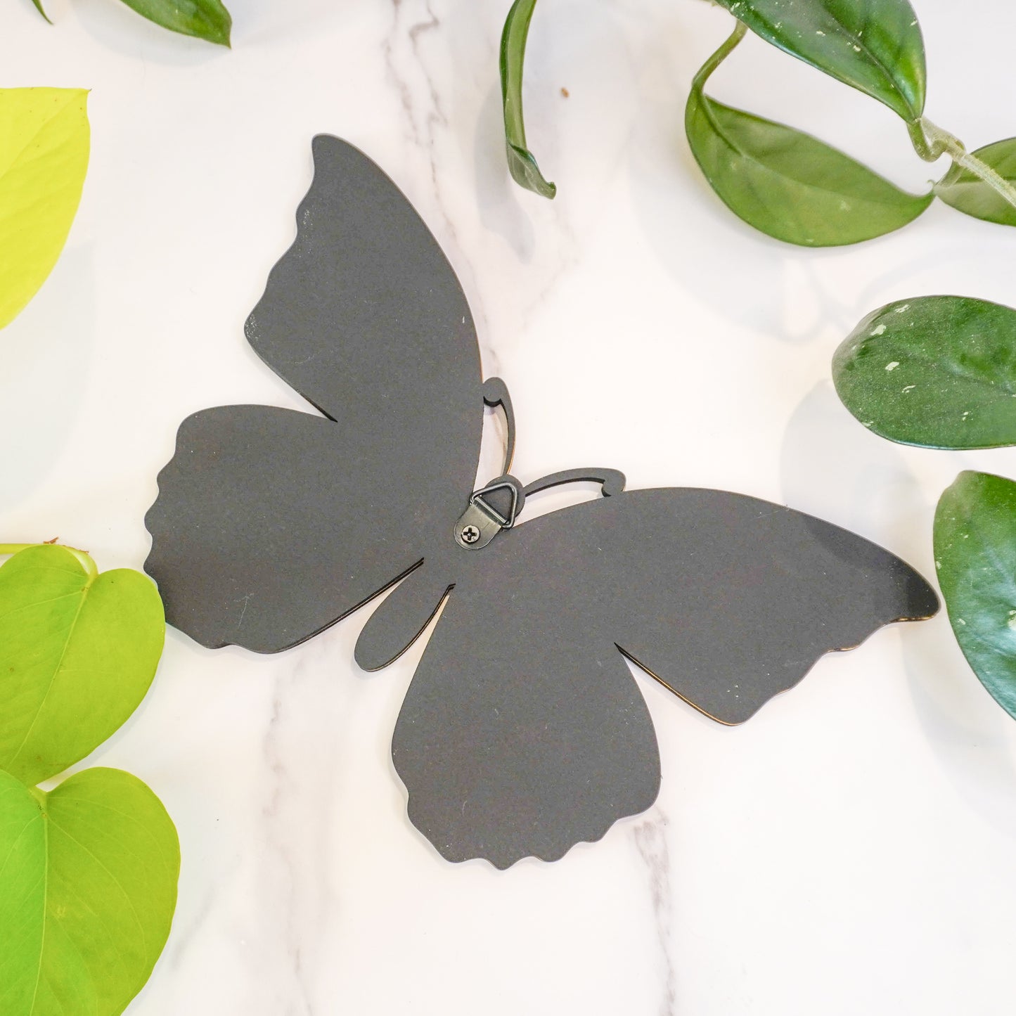 Butterfly Wall Propagation Tube