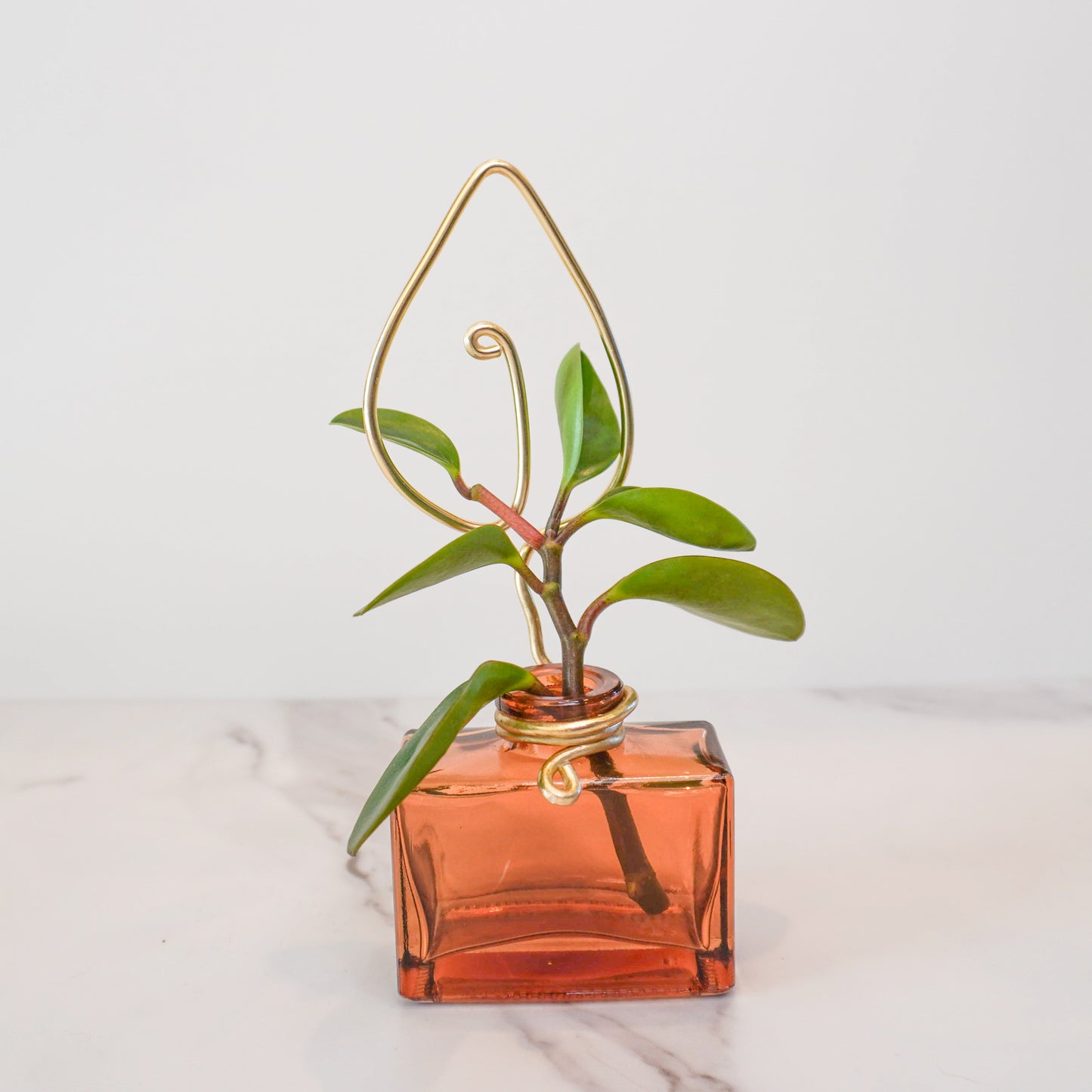 Amber Rectangular Mini Propagation Jar with Leaf Trellis