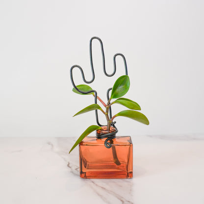 Amber Rectangular Mini Propagation Jar with Cactus Trellis