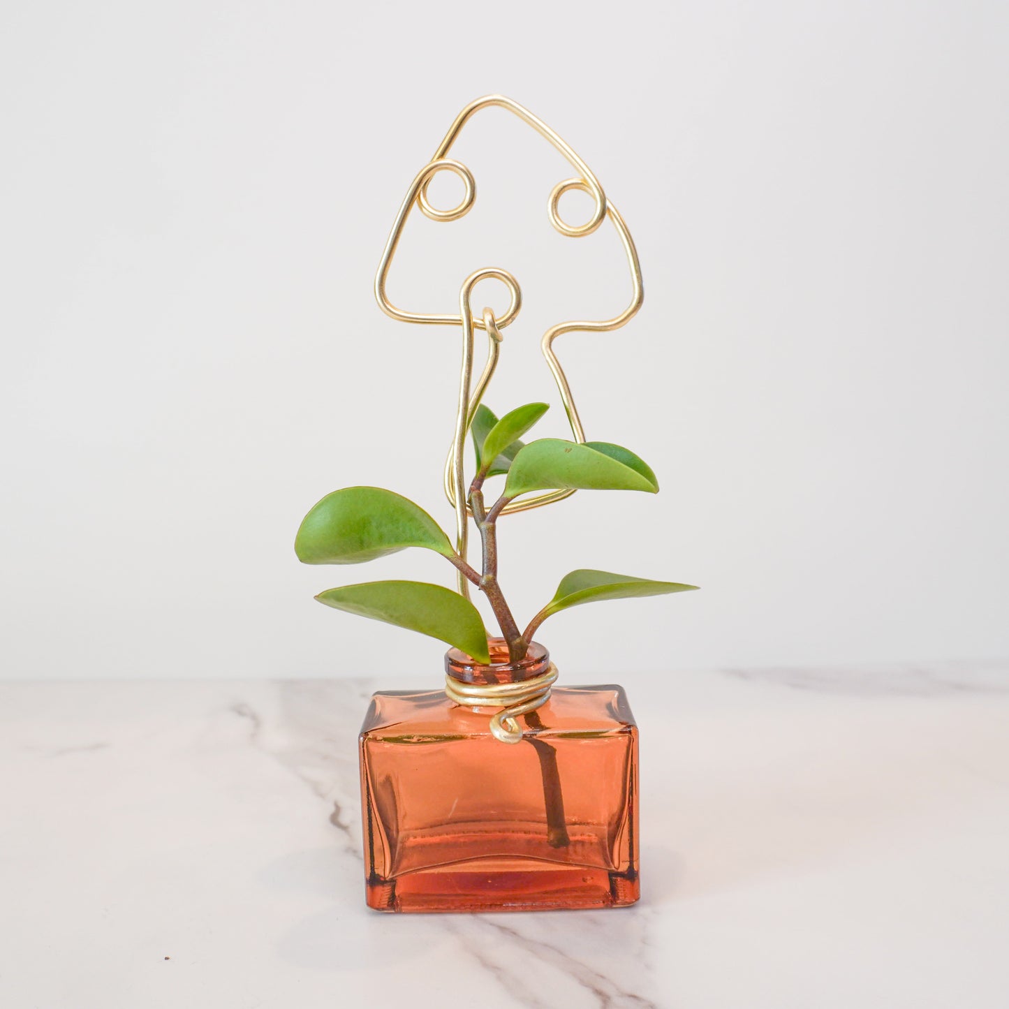 Amber Rectangular Mini Propagation Jar with Mushroom Trellis