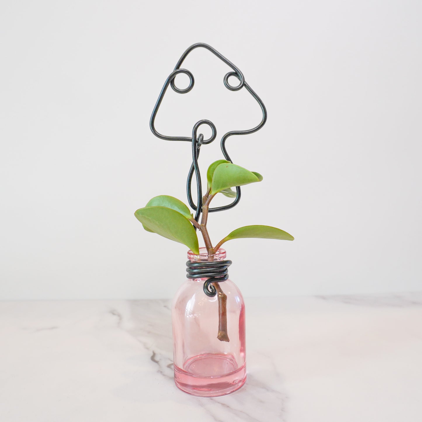 Pink Mini Propagation Jar with Mushroom Trellis