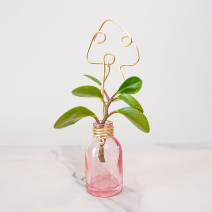 Pink Mini Propagation Jar with Mushroom Trellis