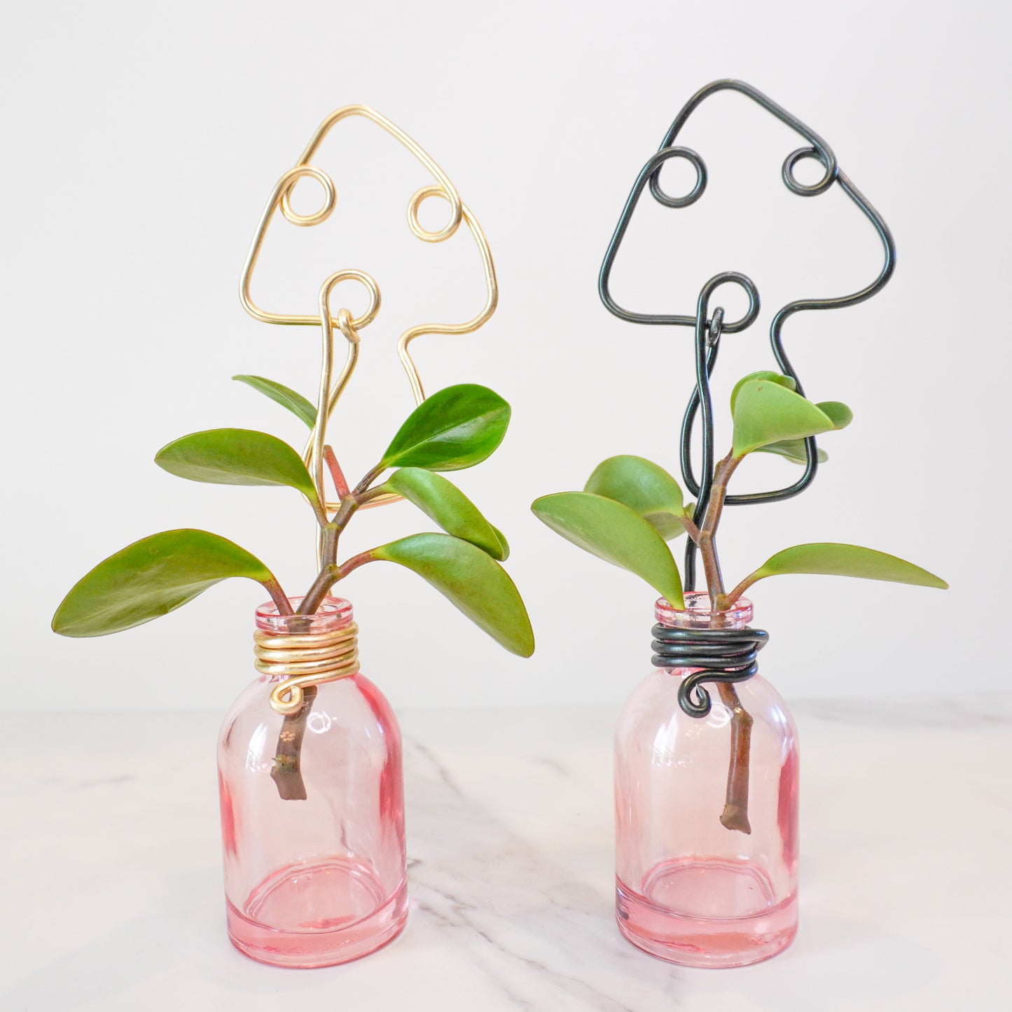 Pink Mini Propagation Jar with Mushroom Trellis