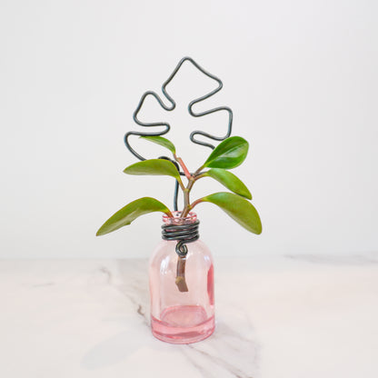 Pink Mini Propagation Jar with Monstera Trellis