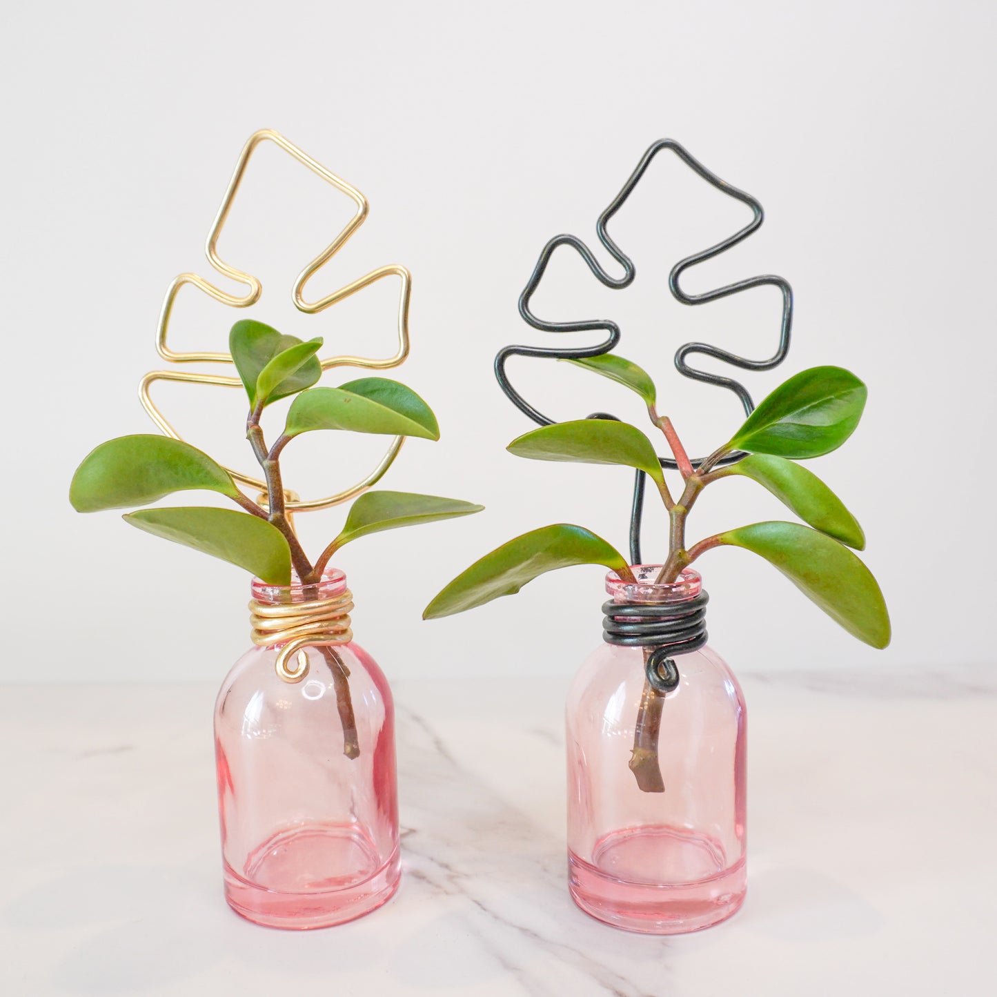 Pink Mini Propagation Jar with Monstera Trellis