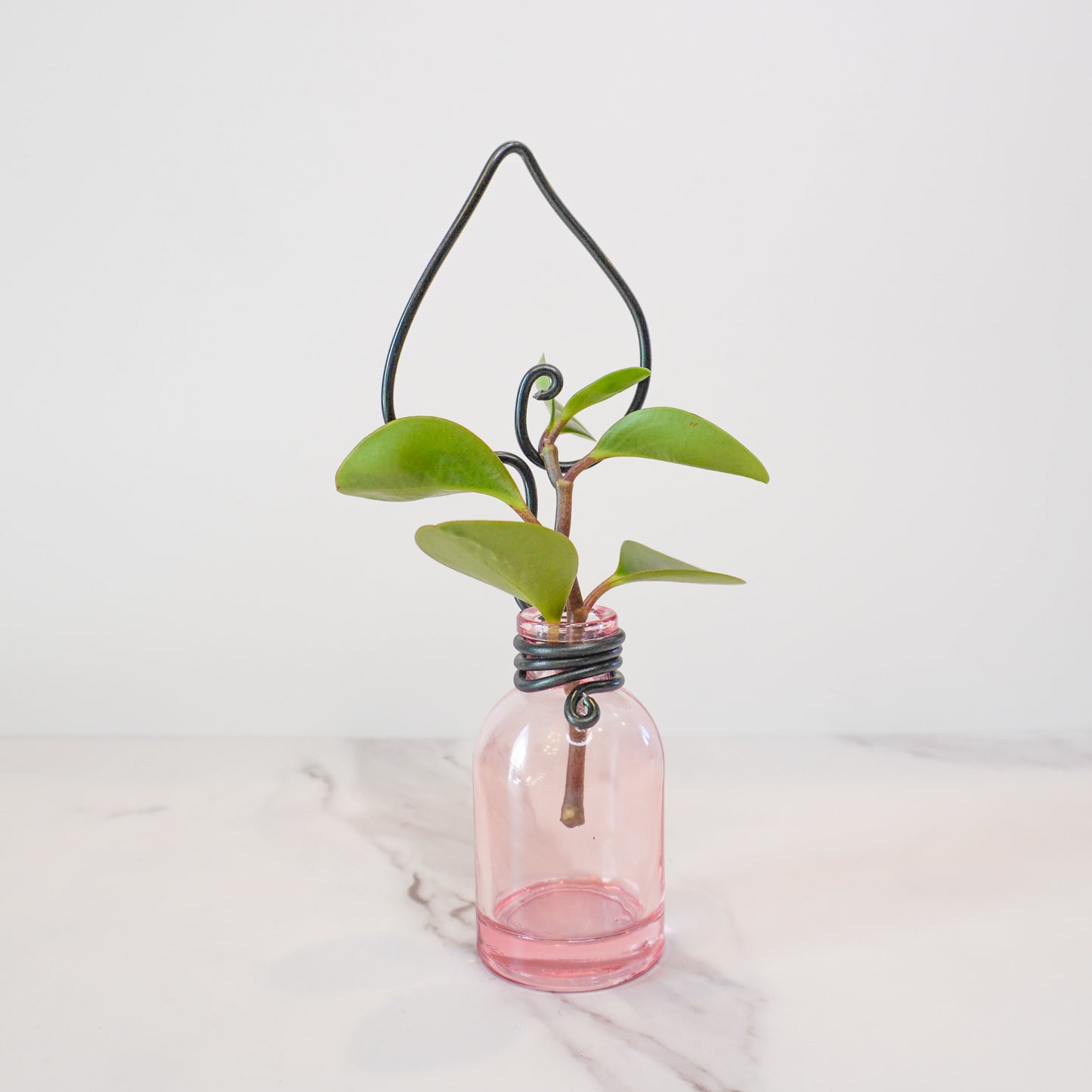 Pink Mini Propagation Jar with Leaf Trellis