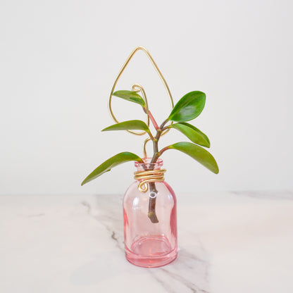 Pink Mini Propagation Jar with Leaf Trellis