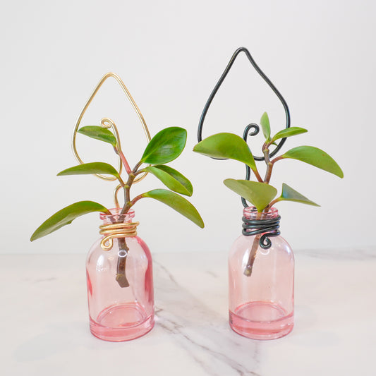 Pink Mini Propagation Jar with Leaf Trellis