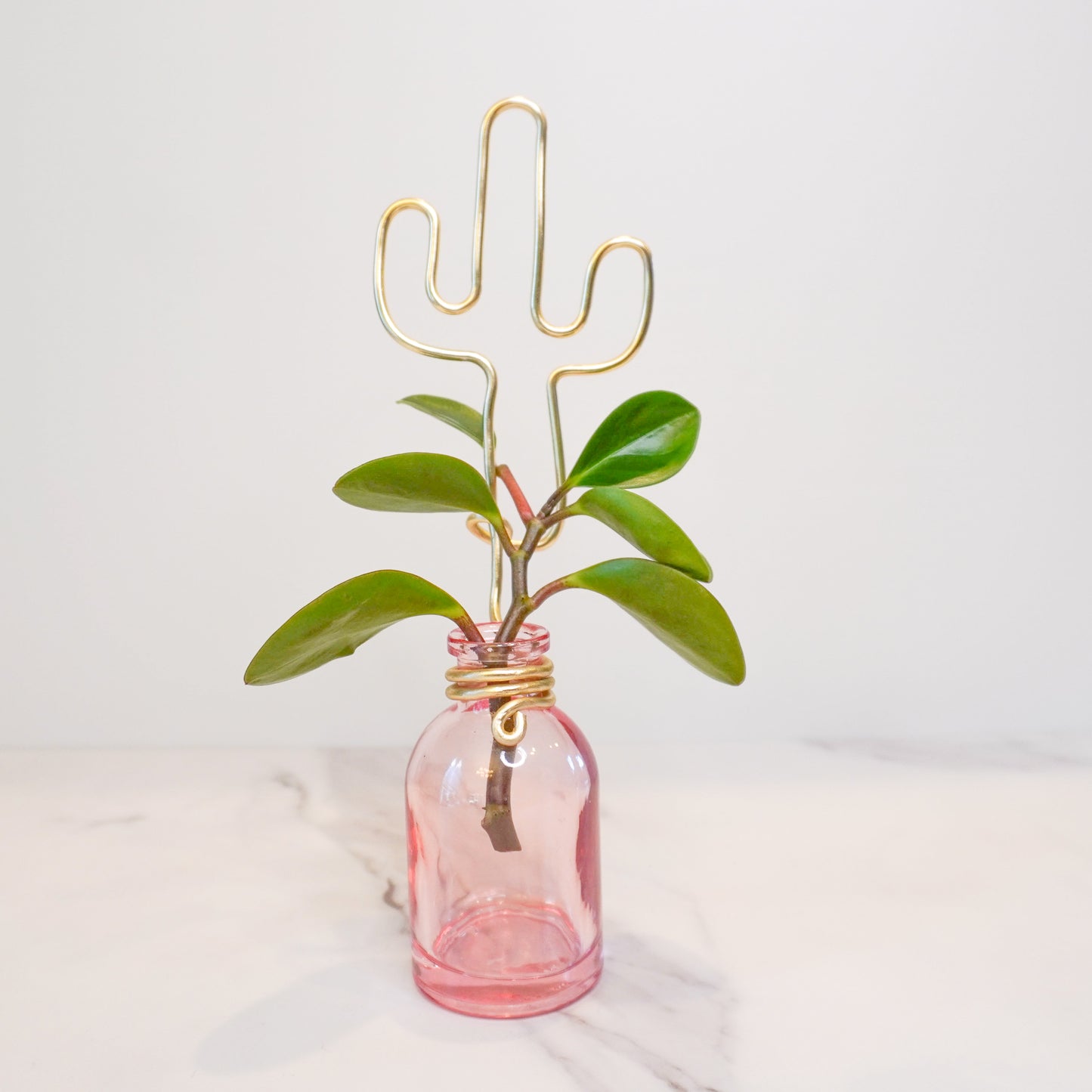 Pink Mini Propagation Jar with Cactus Trellis