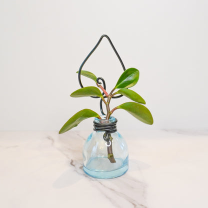 Blue Mini Propagation Jar with Leaf Trellis