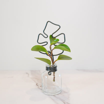 Clear Mini Propagation Jar with Monstera Trellis