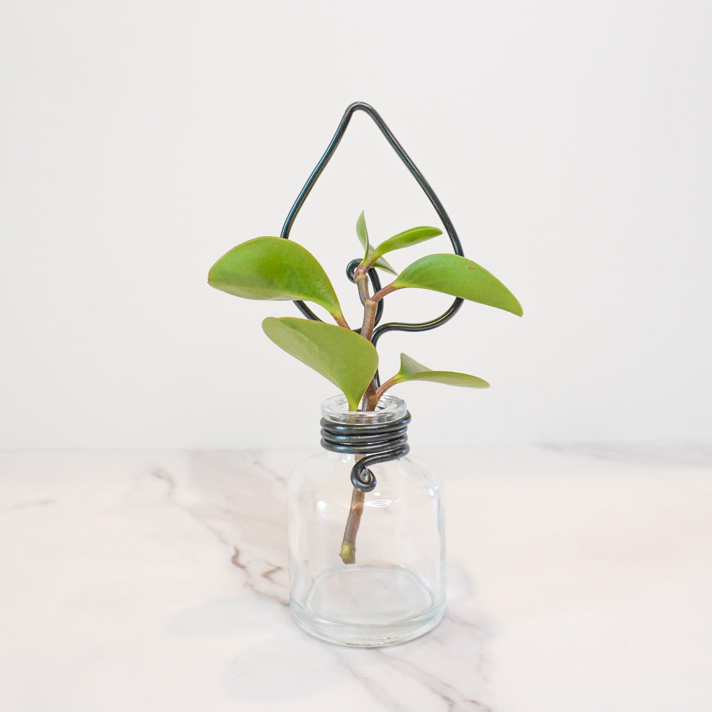 Clear Mini Propagation Jar with Leaf Trellis